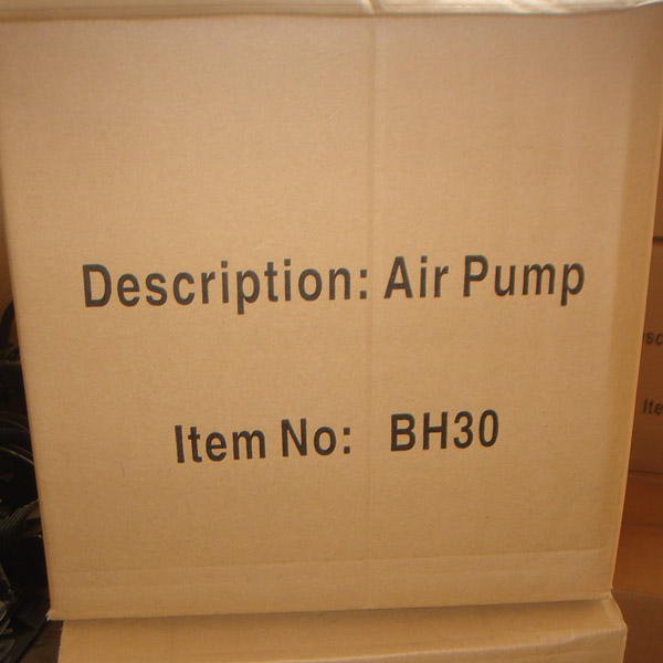 Air Pump BHI30