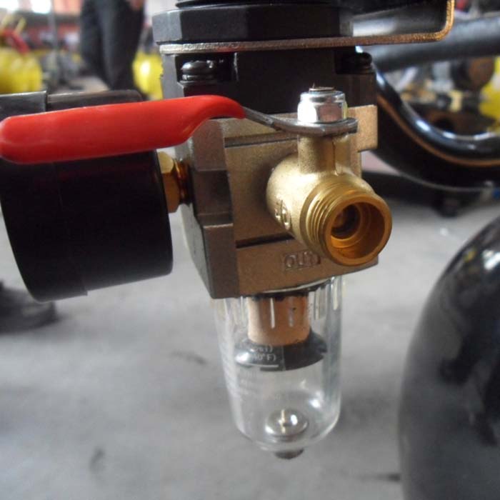 Compressor BVI30E30H80