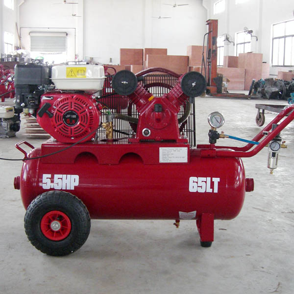 Compressor BVII30CG55H65