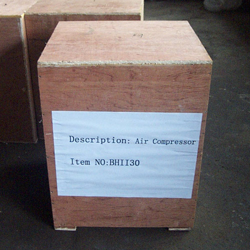 Air Pump BHII30