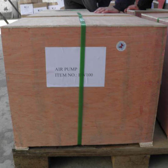 Air Pump BWI100